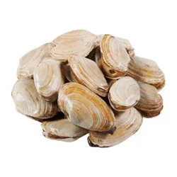 Wild Caught Steamer Clams Fresh