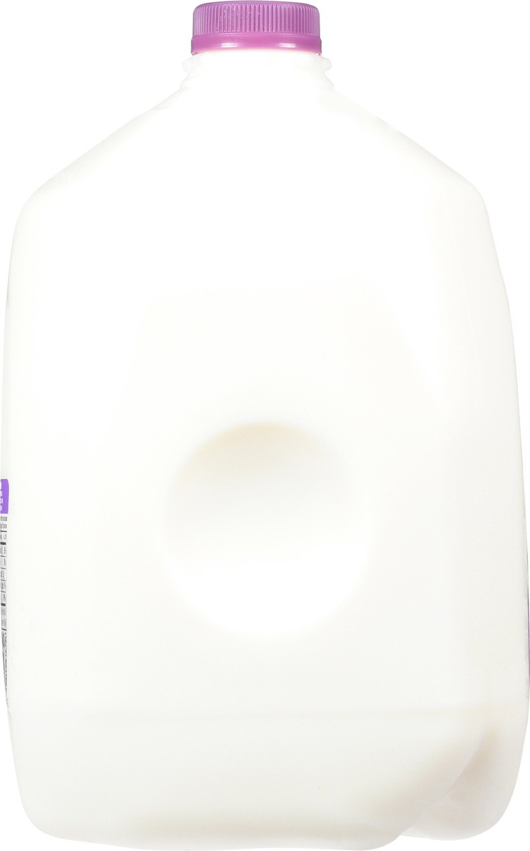 slide 11 of 12, Pet Fat Free Milk 1 gl, 1 gal