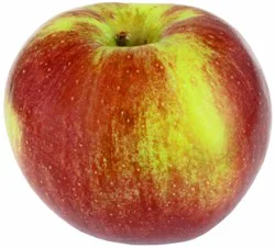 Fresh Macoun Apples