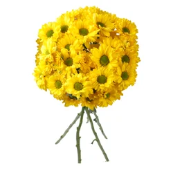 Our Brand Stop & Shop D.I.Y. Spray Mums Red