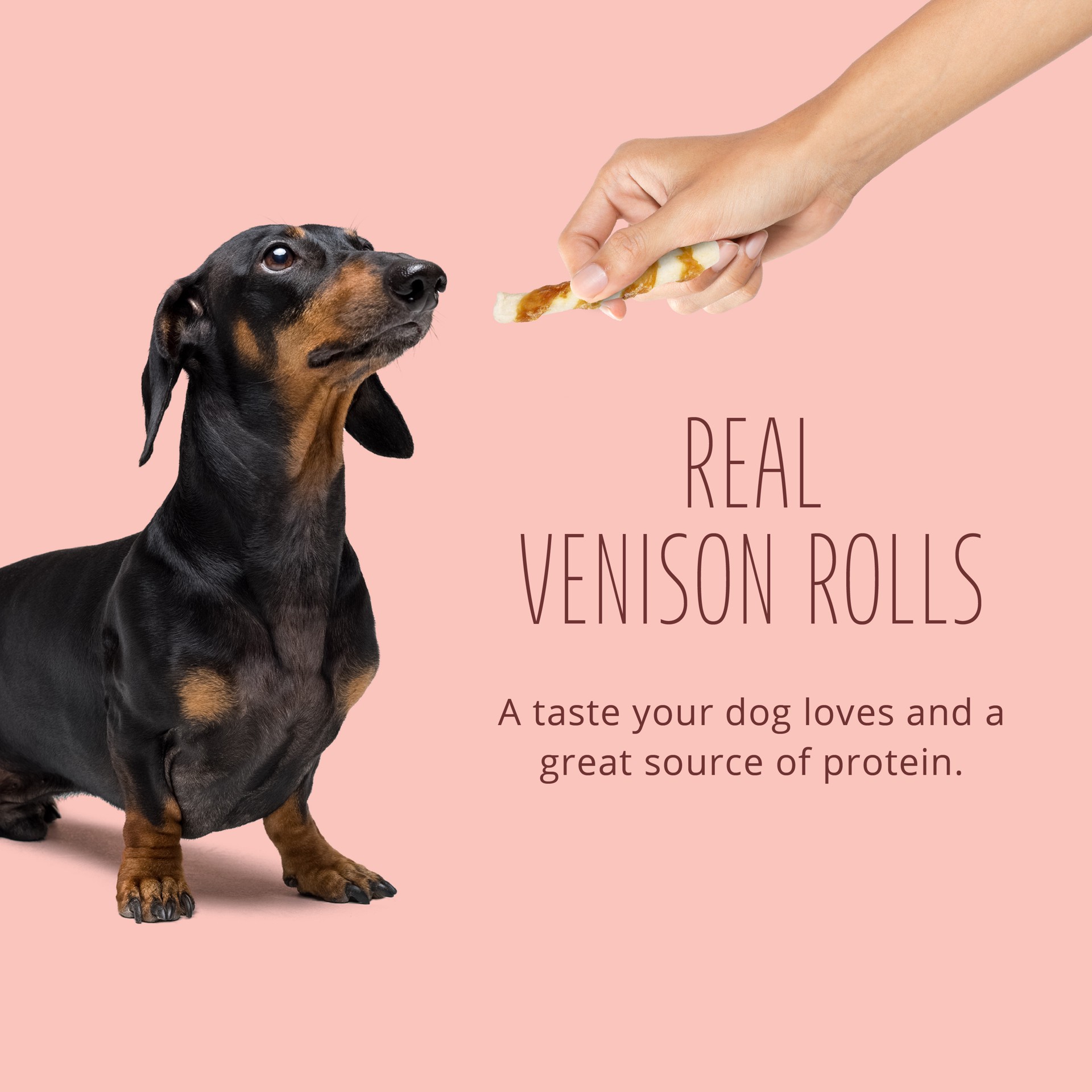 slide 4 of 10, Better Belly Proteins With Real Venison Small Rolls 6 Count, Digestible Rawhide For Dogs, 0.32 lb