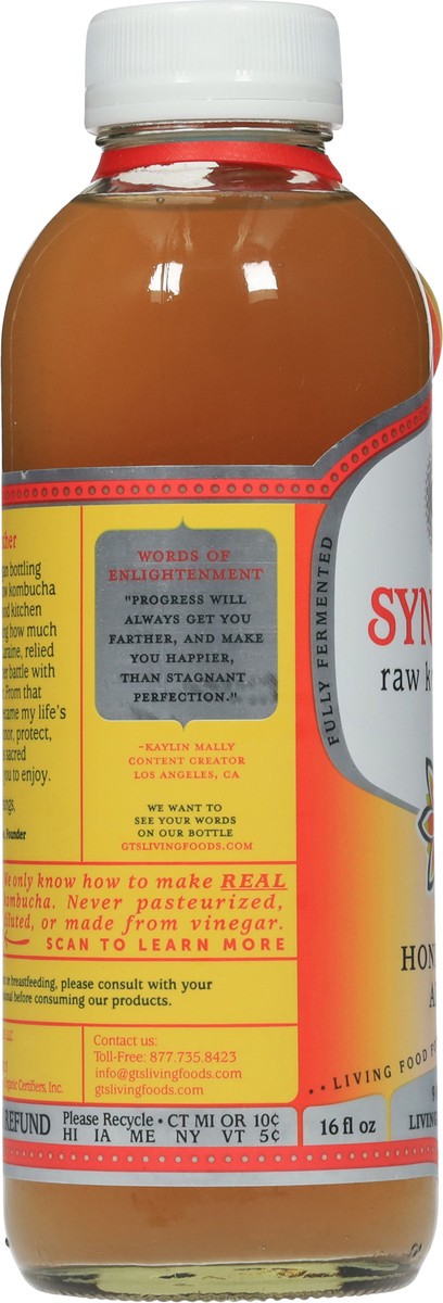 slide 2 of 15, GT's Honeycrisp Apple Kombucha 16 fl oz, 16 fl oz