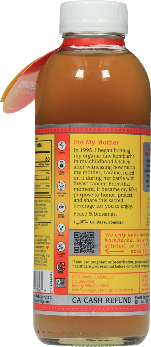 slide 12 of 15, GT's Honeycrisp Apple Kombucha 16 fl oz, 16 fl oz