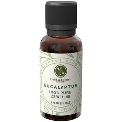 Field & Future by H-E-B Eucalyptus Essential Oil