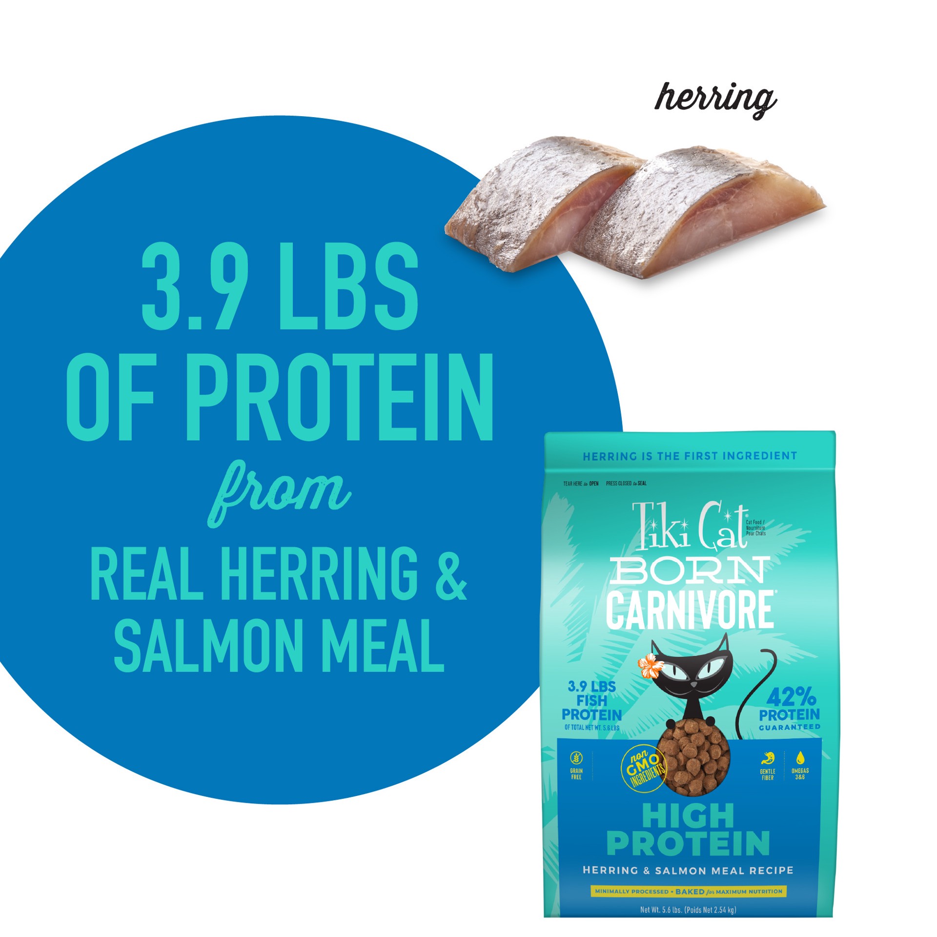 slide 5 of 7, Tiki Cat Born Carnivore High Protein Dry Cat Food, Herring & Salmon Meal, 5.6 lbs. Bag, 5.60 lb