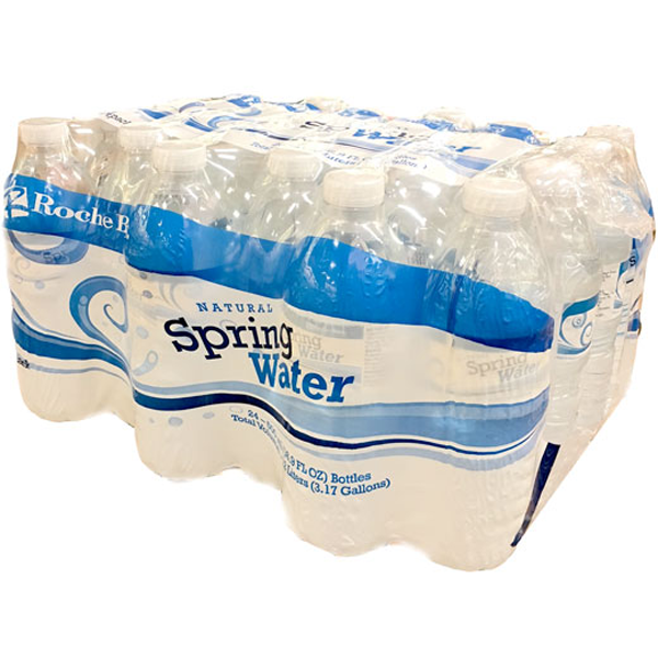 slide 1 of 1, Roche Bros. Bottled Spring Water - 24 ct; 16.9 fl oz, 24 ct; 16.9 fl oz