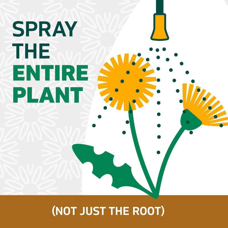 slide 13 of 13, Zevo Spruce Weed and Grass Killer Refill Fertilizer 64oz, 64 oz