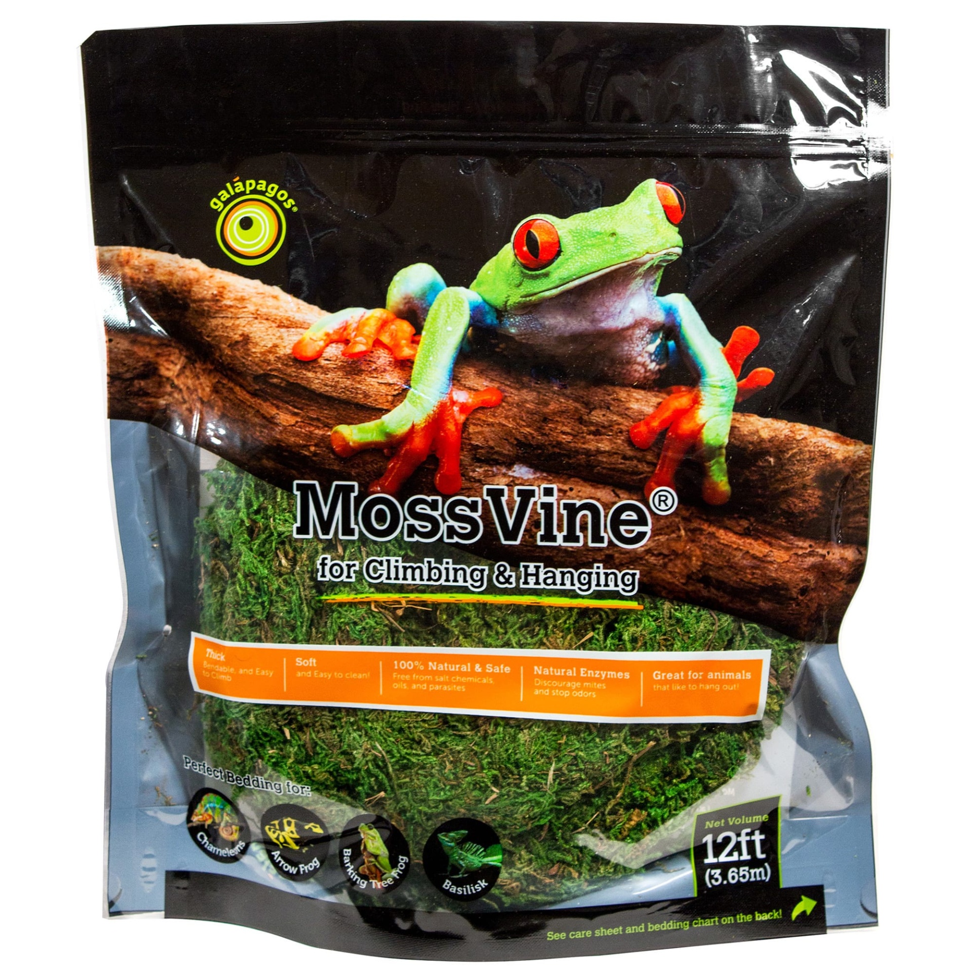 slide 1 of 1, Galapagos MossVine, Large, 1 ct