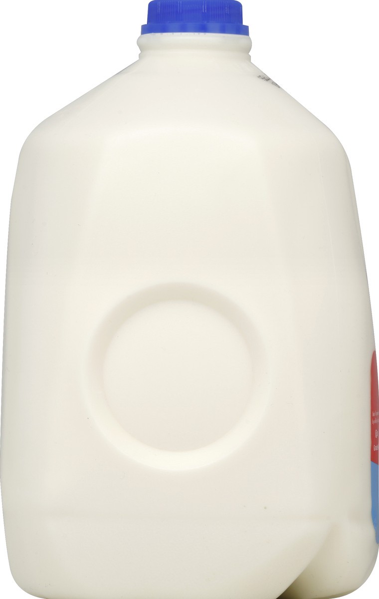 slide 3 of 4, Horizon Organic Milk 1 gl, 1 gal