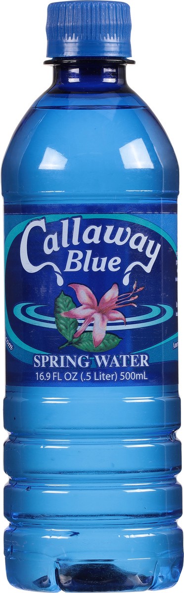 slide 4 of 12, Callaway Blue Spring Water 16.9 fl oz, 16.9 fl oz
