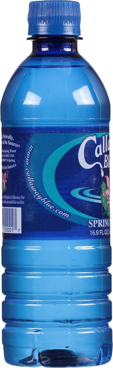 slide 11 of 12, Callaway Blue Spring Water 16.9 fl oz, 16.9 fl oz
