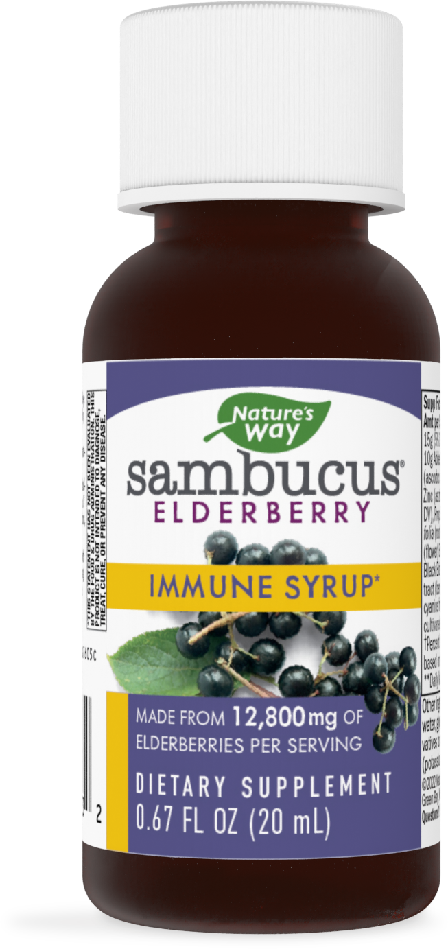 slide 1 of 1, Nature's Way Sambucus Immune Syrup, 20 ml