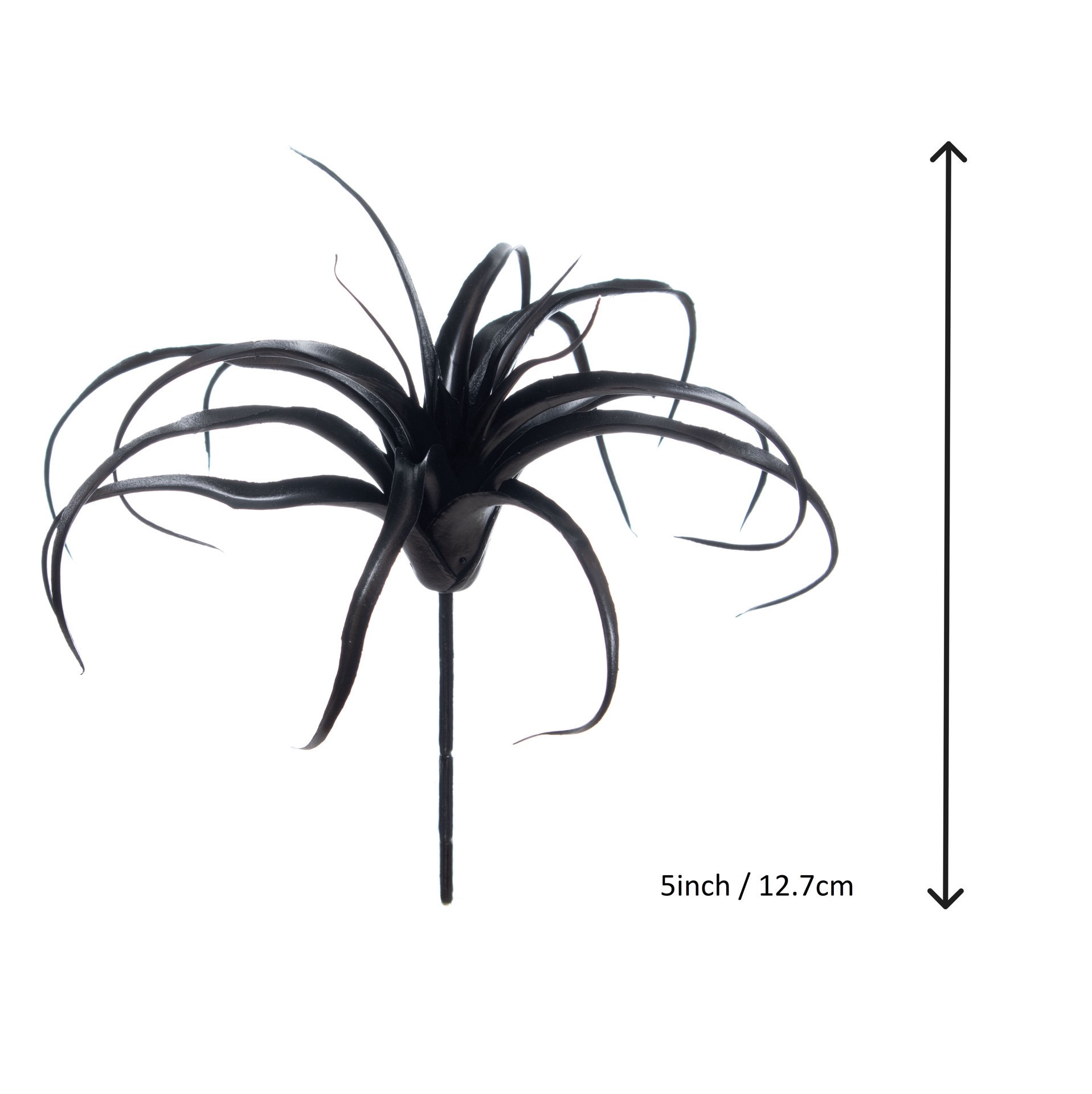 slide 3 of 3, 10" Black Tillandsia Pick By Ashland, 10 in
