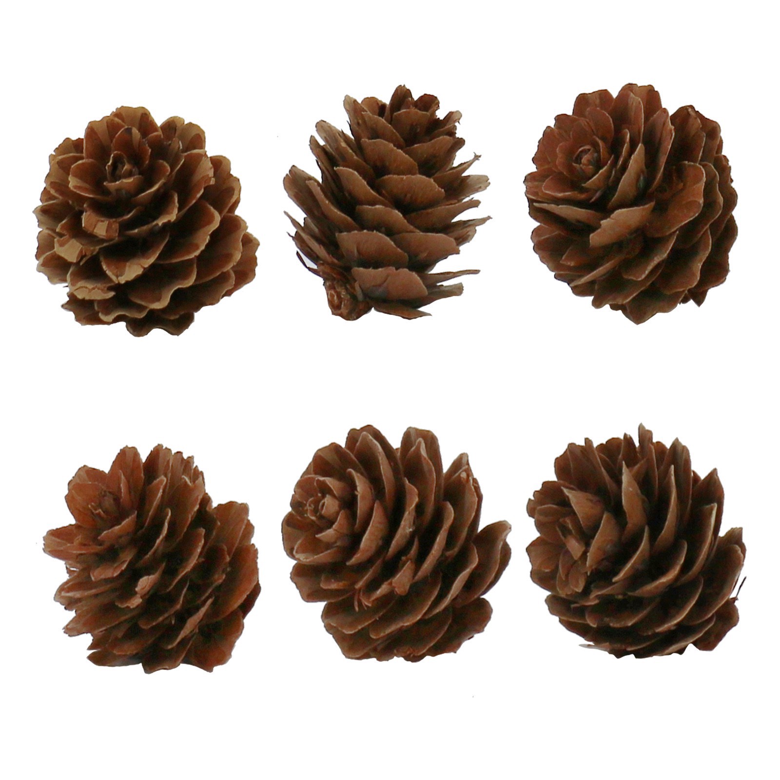 slide 2 of 5, Pumpkin, Pinecone, Maple Leaf & Berry Mix, 14ct. By Ashland, 14 ct