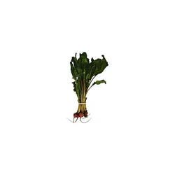 Beets Golden Baby