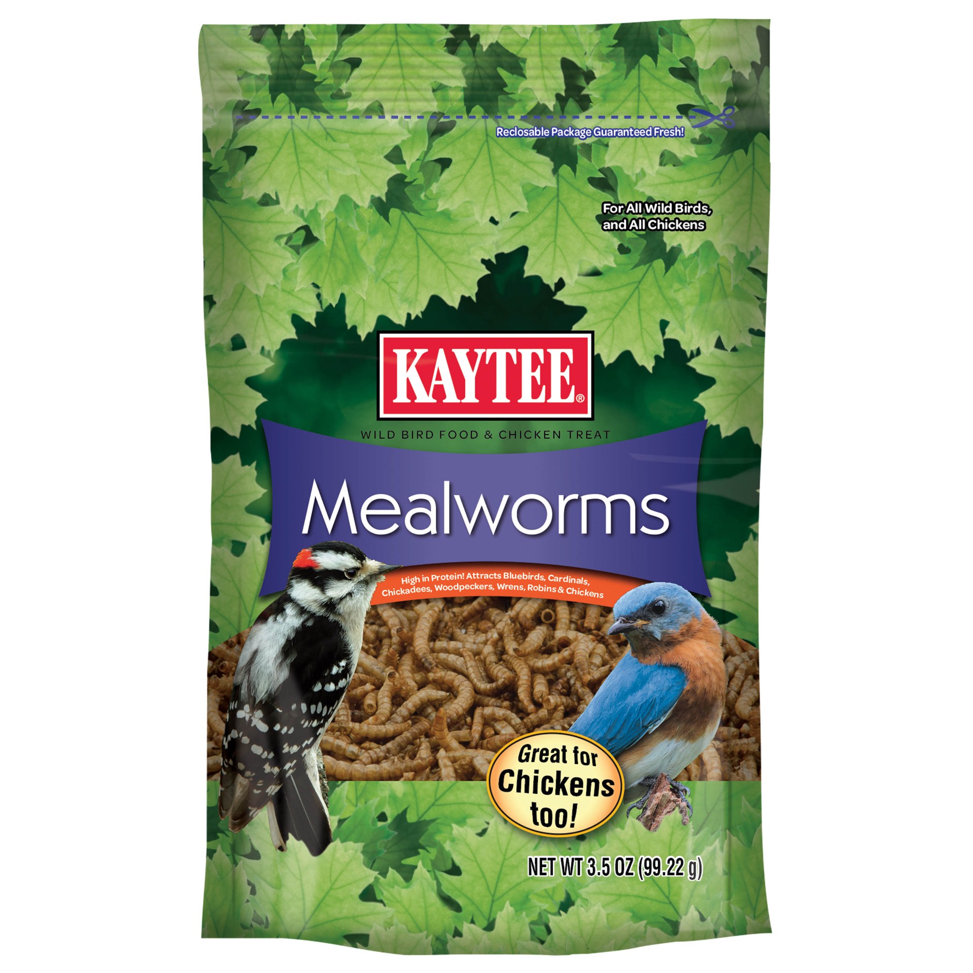slide 1 of 3, Kaytee Mealworm Food Pouch for Wild Birds, 3.5 Ounces, 1 ct