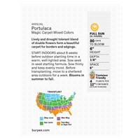 slide 5 of 5, Burpee Portulaca Magic Carpet Mix Seeds, 1 ct