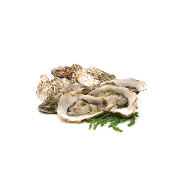 slide 1 of 1, Oysters In Shell, Fresh, Wild, 1 ct
