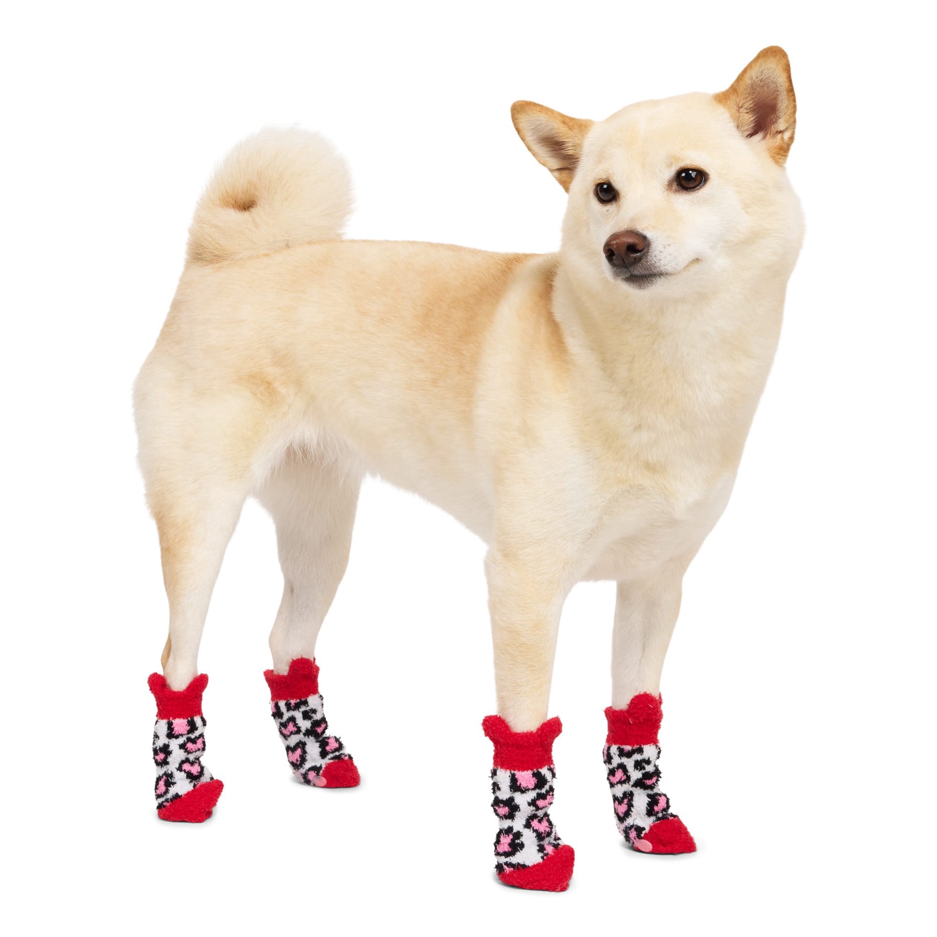 slide 1 of 1, YOULY Leopard Print Dog Socks, Leopard Print, X-Small/Small, 1 ct