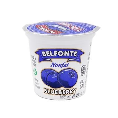 slide 1 of 1, Belfonte Nonfat Blueberry Yogurt, 6 oz