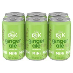 Kroger Big K Ginger Ale Mini Caffeine Free Cans
