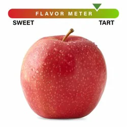 Large Pink Lady® Apple – Each