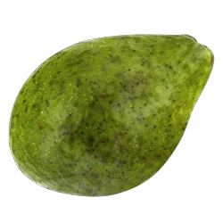 Produce Fresh Avocado