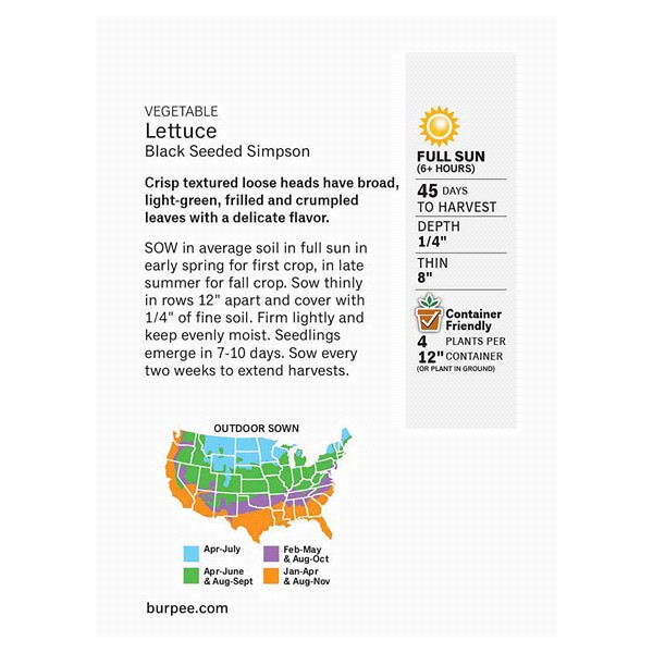 slide 3 of 5, Burpee Lettuce Leaf Black Seeded Simpson Seeds, 1 ct