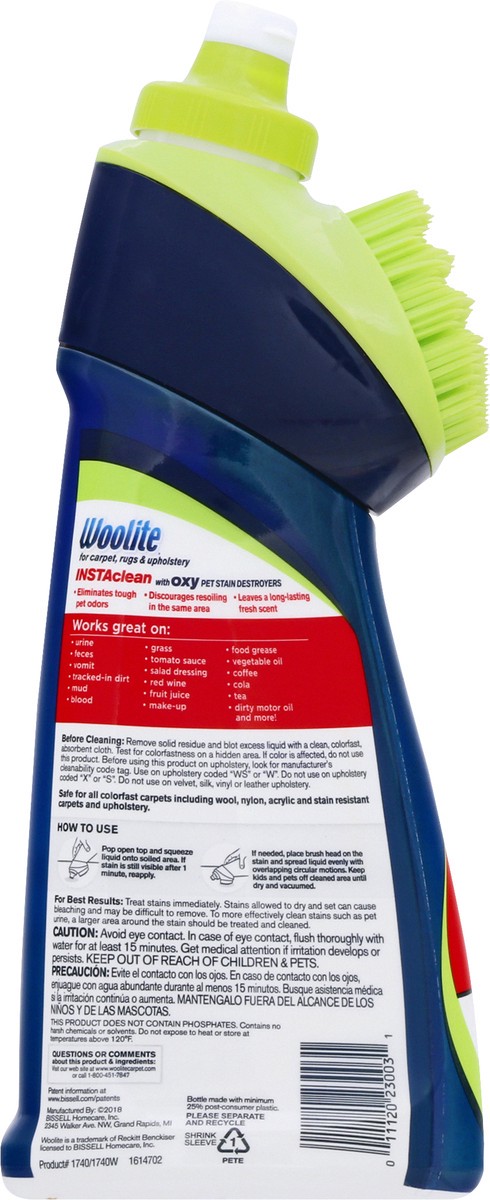 slide 8 of 9, Woolite Insta Clean Stain Remover 18 oz, 18 oz