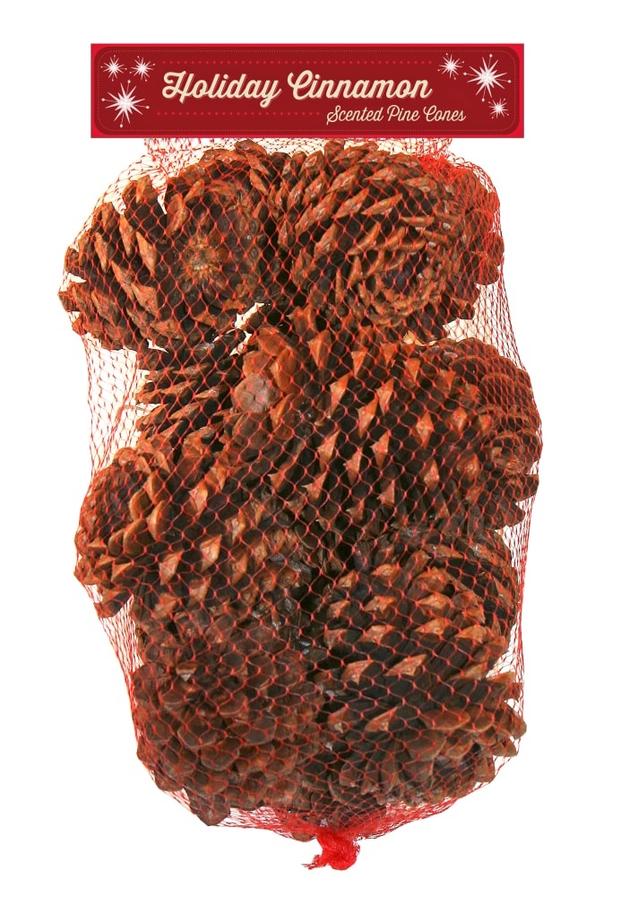 slide 1 of 1, Enviro-Log Cinnamon Scented Pine Cone Bag, 16 oz