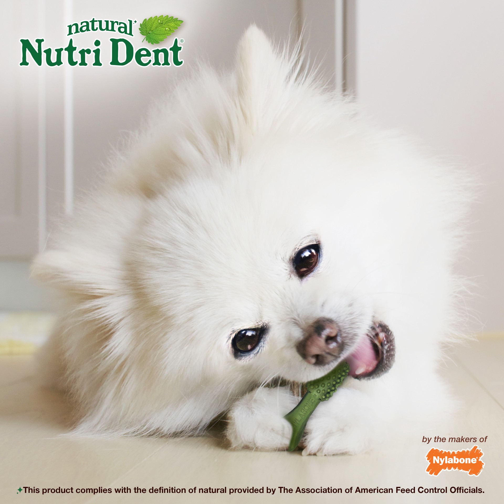 slide 9 of 10, Nylabone Nutri Dent Fresh Breath Flavored Dental Chews Mini - 5 lbs. to 10 lbs.(78 Count), 13.7 oz