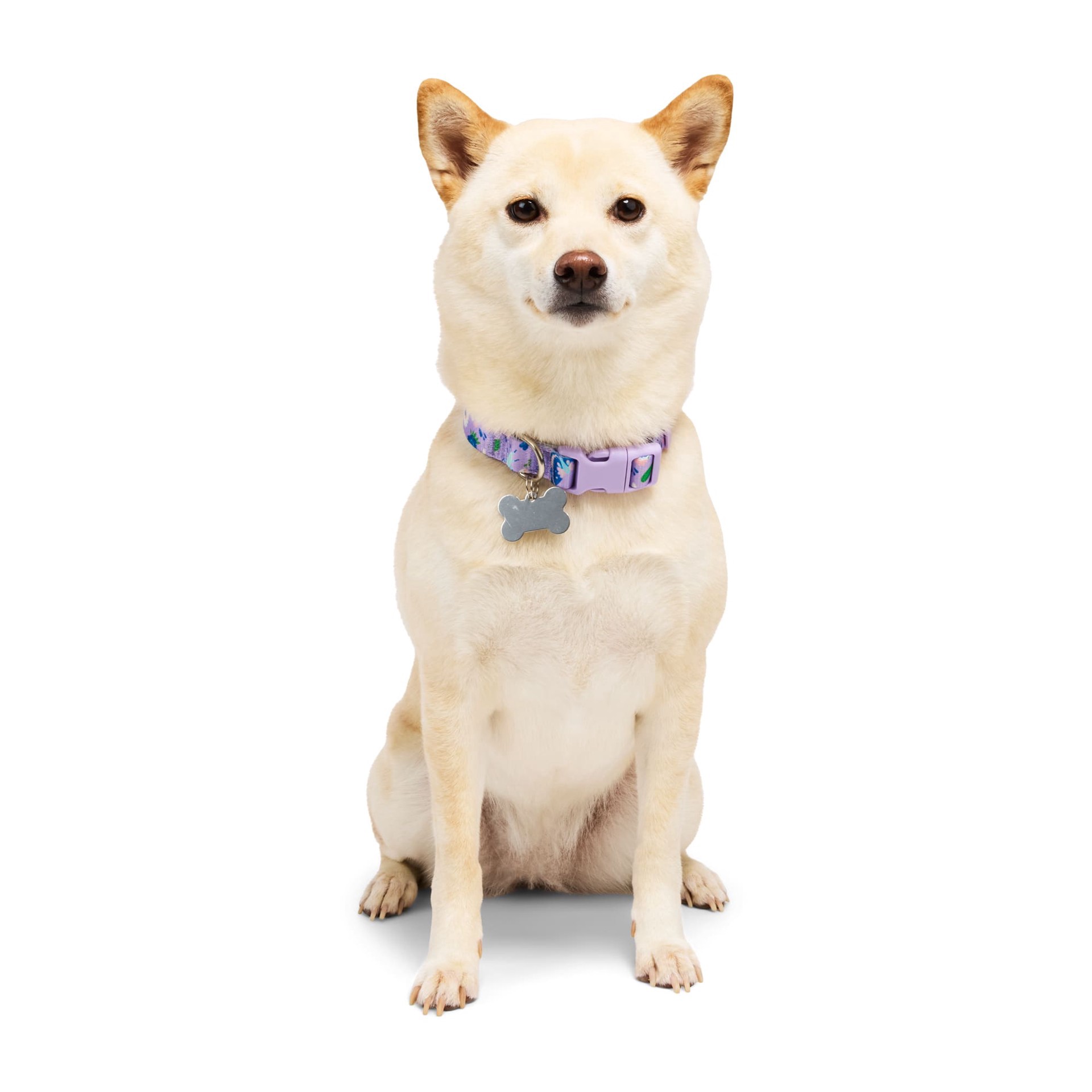 slide 1 of 1, YOULY Butterfly Dog Collar, Lavender, Medium, MED