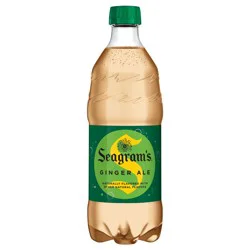 Seagram's Seagrams Ginger Ale Bottle, 20 fl oz