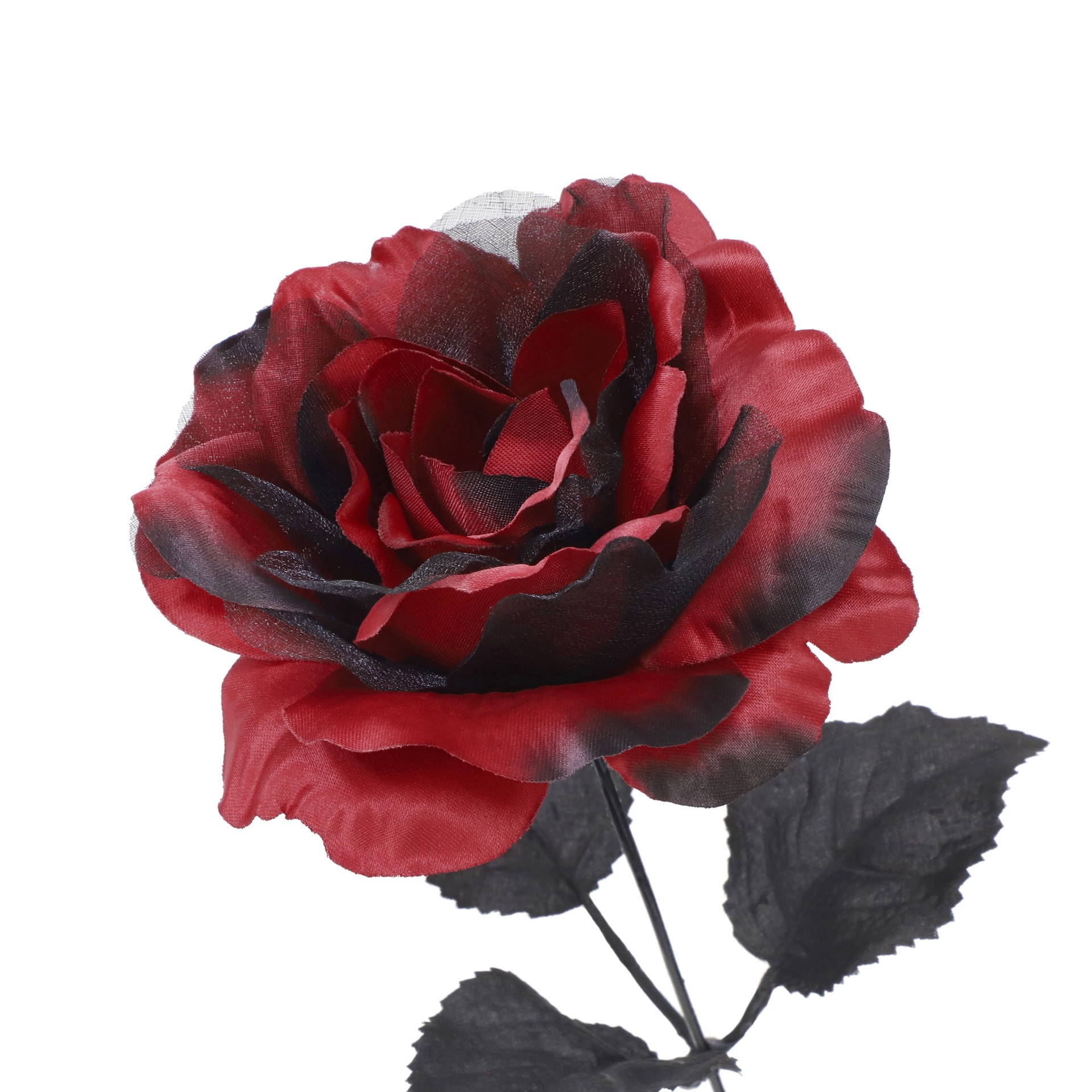 slide 3 of 3, 17.5" Red & Sheer Black Rose Bush By Ashland, 17.5 in