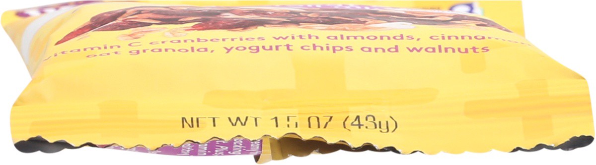 slide 6 of 9, Snack Club Antiox-C Cinnamon Oat & Yogurt Trail Mix 1.5 oz, 1.5 oz