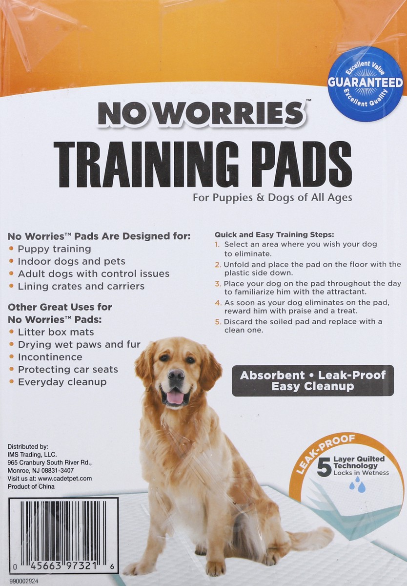 slide 7 of 11, No Worries Training Pads 100 ea, 100 ct