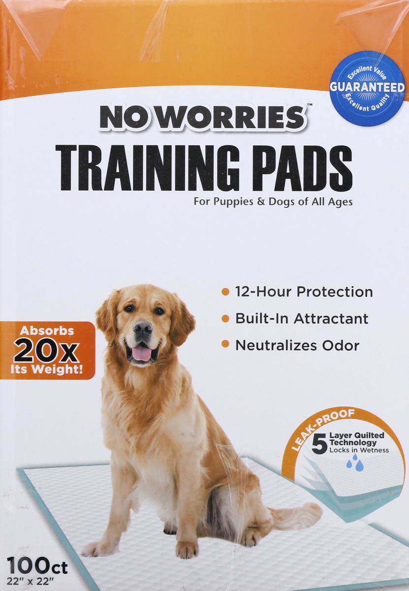 slide 8 of 11, No Worries Training Pads 100 ea, 100 ct