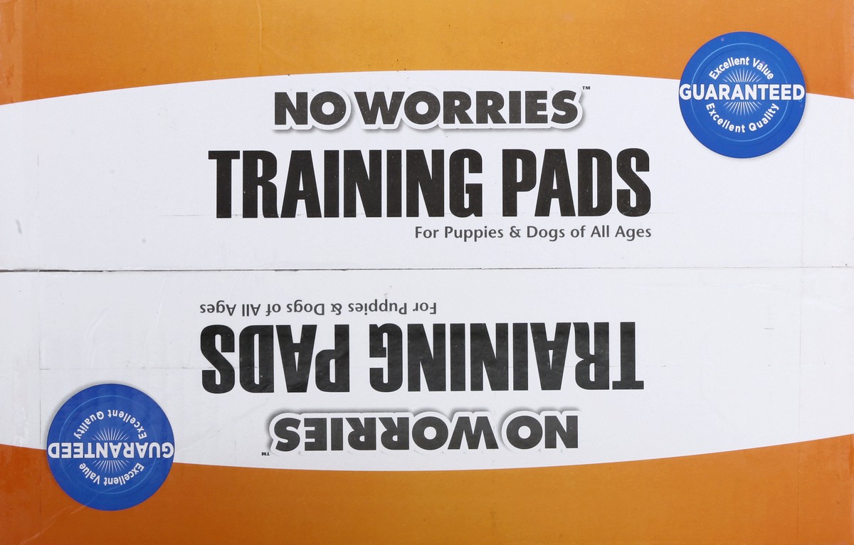 slide 11 of 11, No Worries Training Pads 100 ea, 100 ct