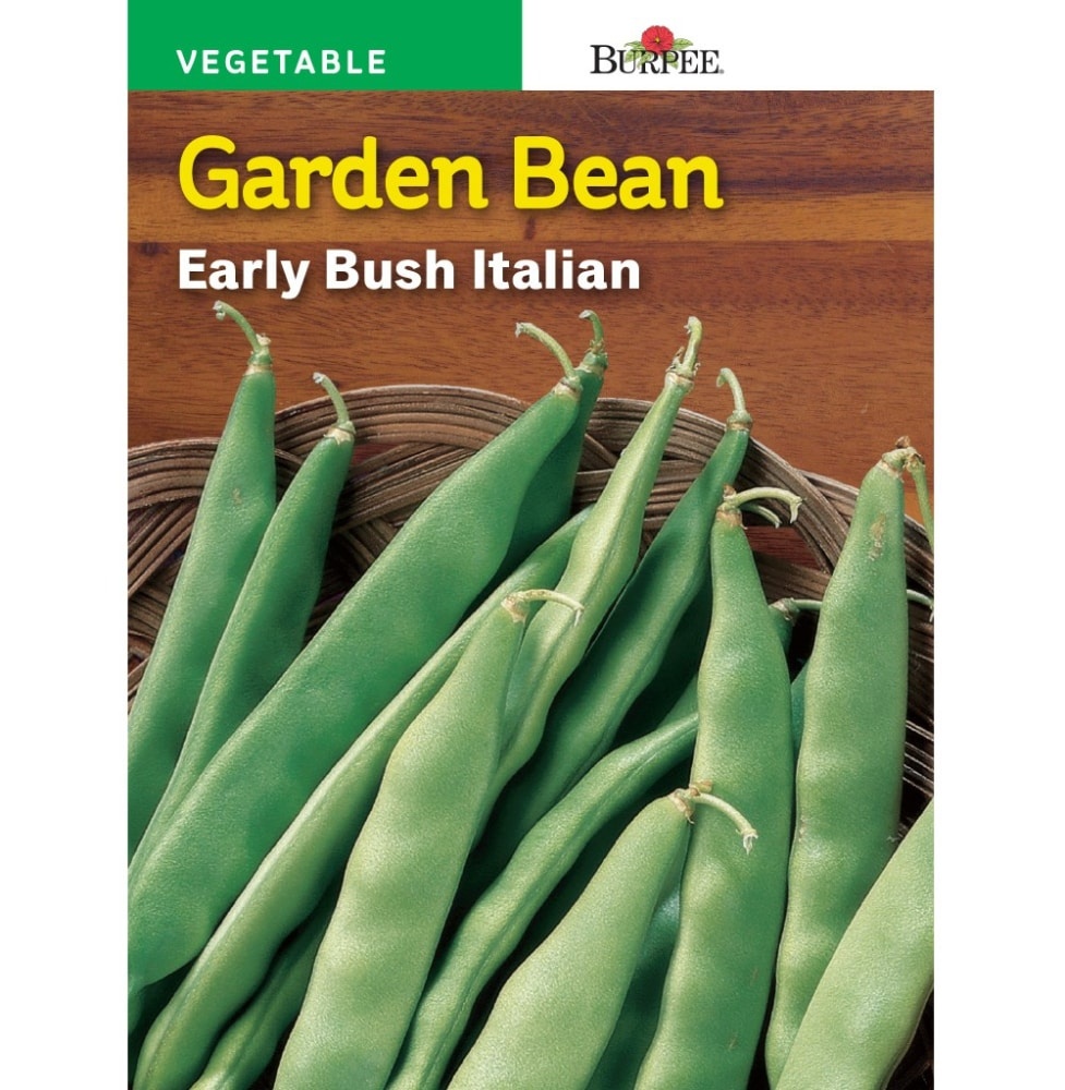 slide 1 of 1, Burpee Early Bush Italian Bean Seeds - Green, 1 ct