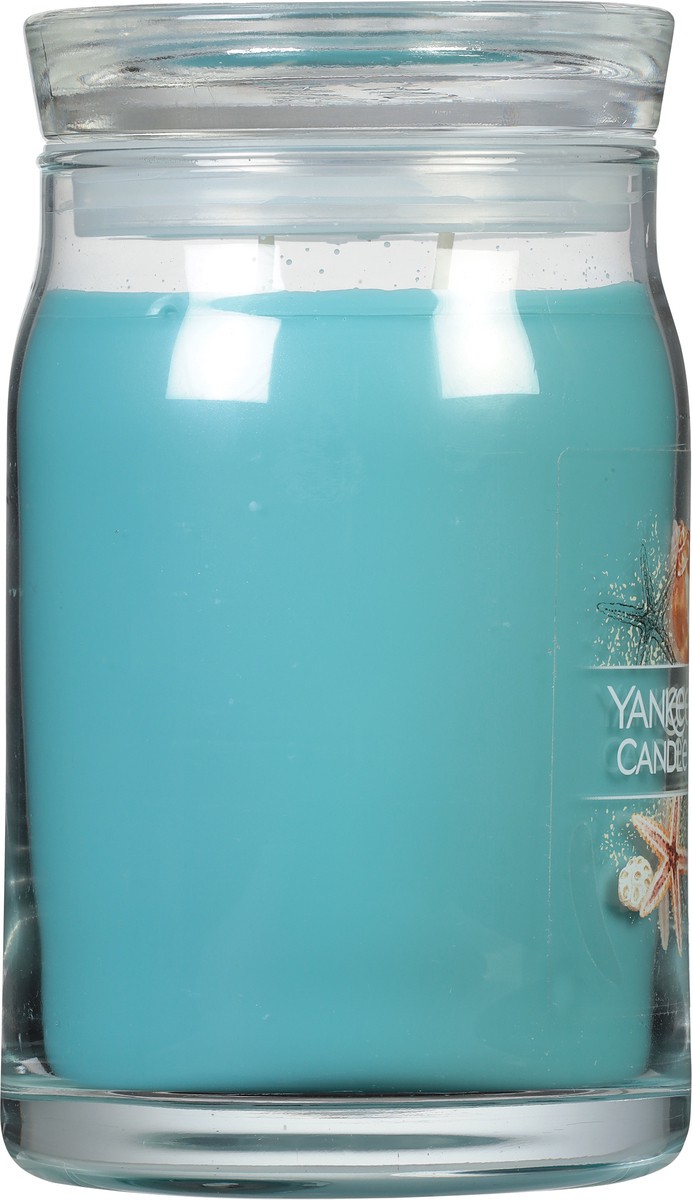 slide 7 of 9, Yankee Candle Signature Collection Large Jar Catching Rays, 20 oz