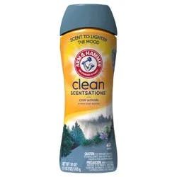 ARM & HAMMER Clean Scentsations In-Wash Scent Booster, Cool Woods scent, 18 Oz