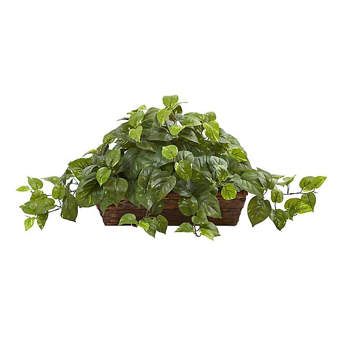 slide 1 of 1, Nearly Natural Artificial Pothos Plant - Basket, 1 ct