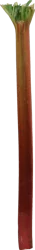 Rhubarb