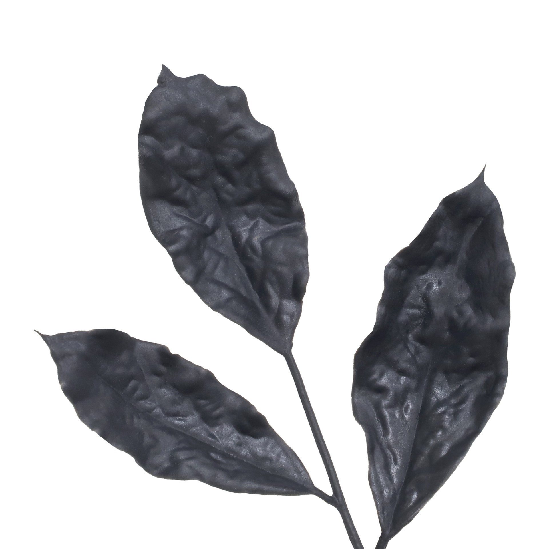 slide 2 of 3, 11" Black Dried Leaves Pick By Ashland, 6 in x 1 in x 11 in