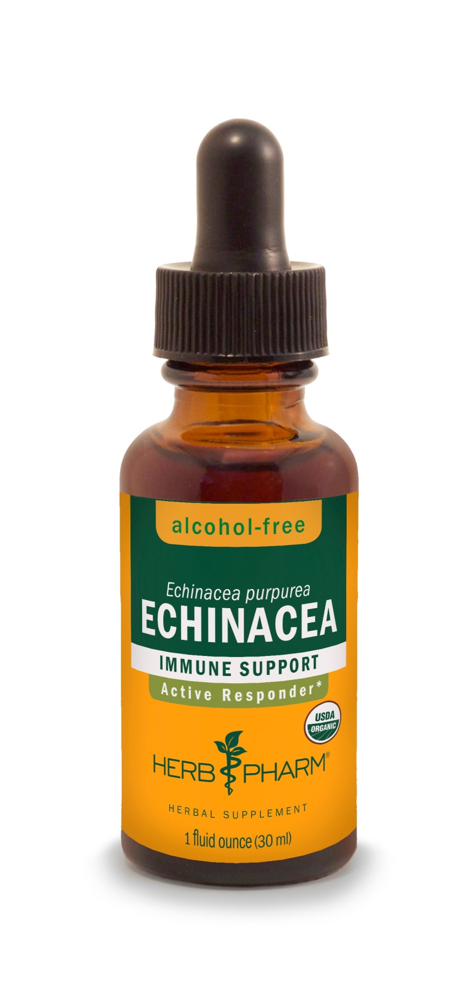 slide 1 of 1, Herb Pharm Echinacea Echinacea Root Herbal Glycerite Extract Alcohol Free, 1 oz