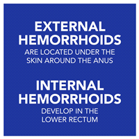 slide 27 of 29, Meijer Hemorrhoidal Ointment, 2 oz