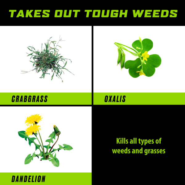 slide 4 of 13, Ortho GroundClear Weed & Grass Killer Ready-to-Use, 1 gal