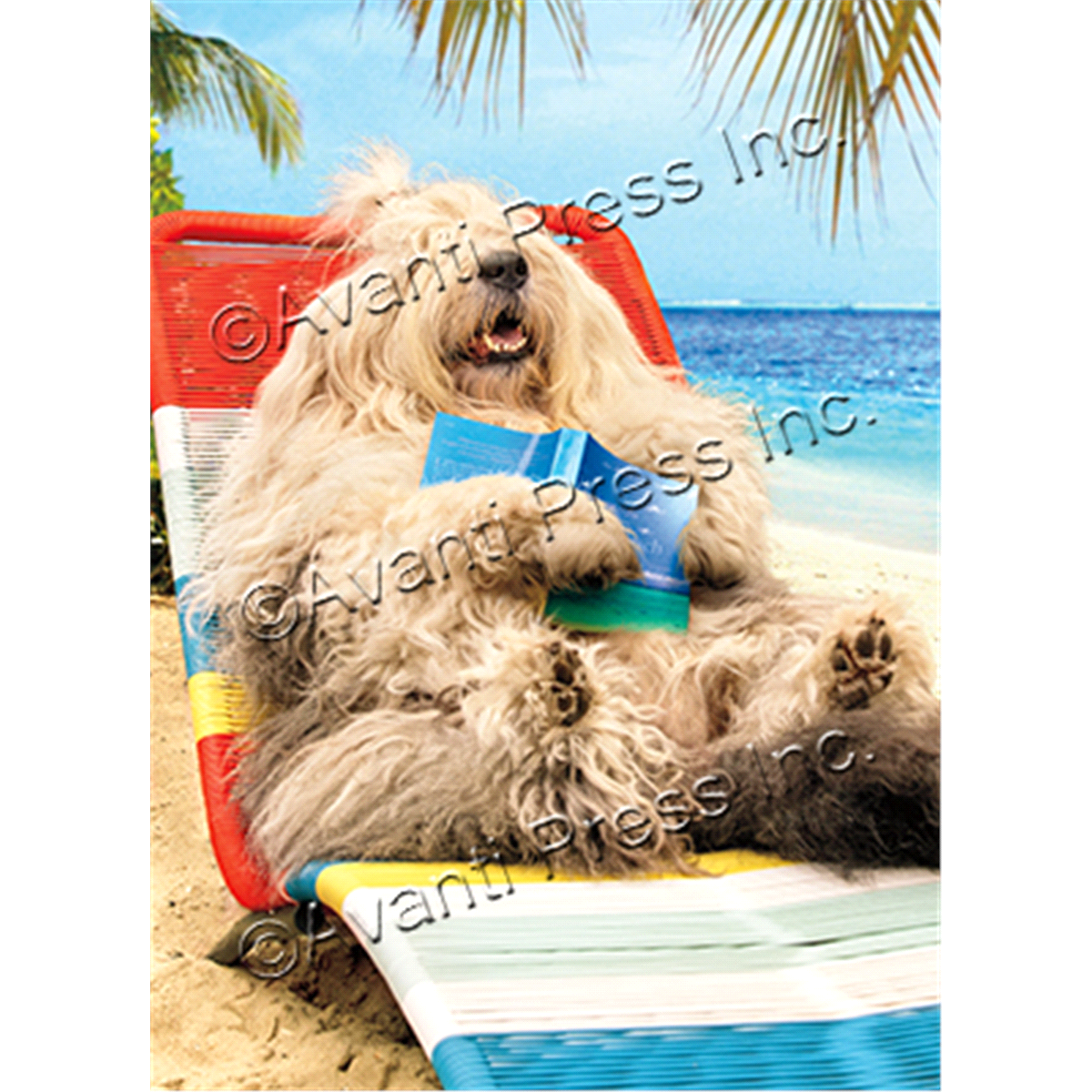slide 1 of 5, Avanti Press Lounging Sheep Dog, 1 ct