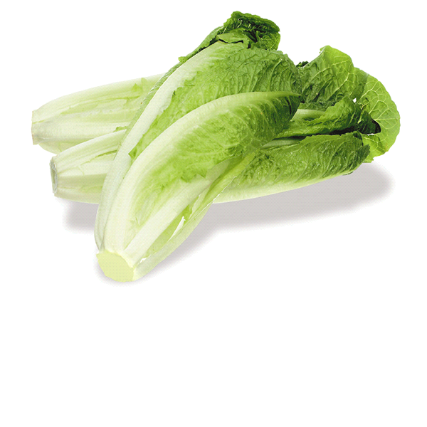 slide 1 of 1, Organic Romaine Hearts Lettuce, 3 ct