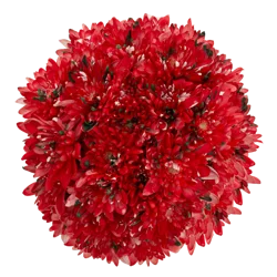 Cupcakes Seasonal Bouquet